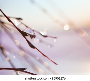 spring background - Powered by Shutterstock