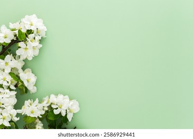 Fundo de primavera, florescendo ramos de macieira em um fundo verde, espaço de cópia