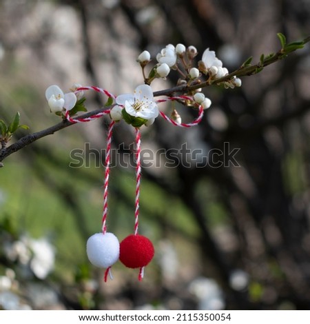 Spring background with bow of red and white thread, martenitsa or martisor on a branch of flowering fruit tree, copy space. Tradition 1st of March holiday