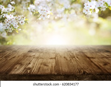 Spring Background With Cherry Blossoms And Sun In Front Of An Empty Wooden Table For A Concept