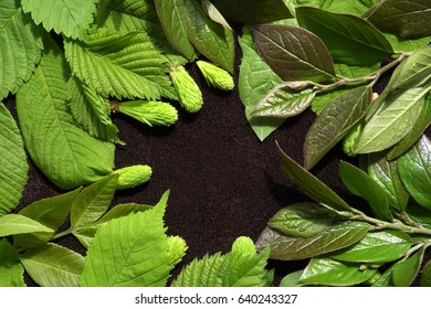 26,695 Oval green leaves Images, Stock Photos & Vectors | Shutterstock