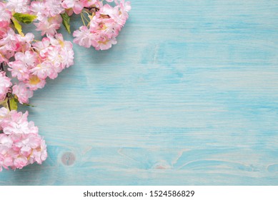 Spring background of painted blue board with branch of flowering cherry branch covered with pink flowers as a border