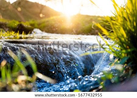 Spring background Stream of water in the forest