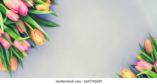 Spring background with tulips. Card for Mothers day, 8 March, Easter - Shutterstock ID 1647742639