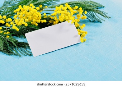 Spring background with white blank card and yellow fluffy mimosa flowers on the blue linen tablecloth. Spring background, suitable for Easter, Mothers day, 8 March holidays