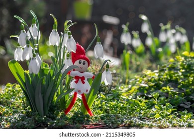 Spring background with white blossom snowdrops and small yarn doll martenitsa or martishor. Bulgarian symbol of spring, March 1 traditional trinket. Cheerful concept of beginning of spring, copy space