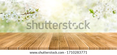 Similar – Image, Stock Photo Apple on green plate Fruit