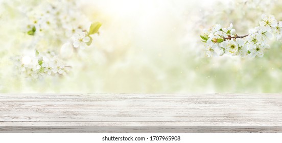 Spring background with white blossoms and white wooden table. Spring apple garden on the background - Shutterstock ID 1707965908