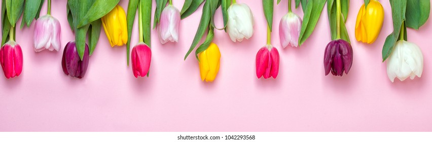 Spring background!A bouquet colorful tulips on pink background.Holiday greeting card for Valentine's Day, Woman's Day, Mother's Day, Easter!