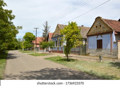 Spring In Backi Petrovac, Vojvodina