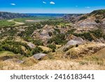 Spring at the Badlands in Theodore Roosevelt National Park in North Dakota.