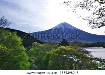 画像ページを表示します 画像