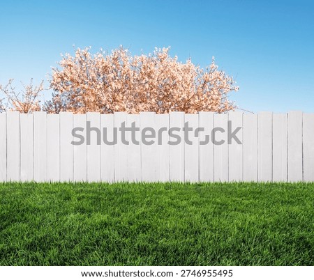 spring bloom tree in backyard and wooden white garden fence