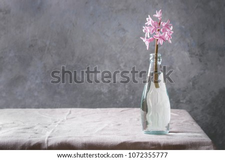 Spring blooming pink hyacinth in blue glass bottle standing on table with linen tablecloth.