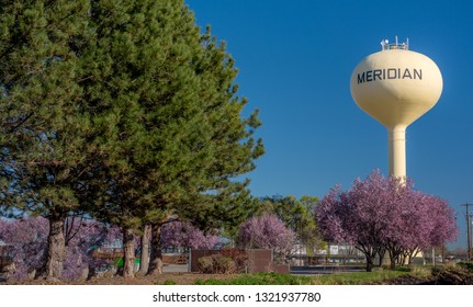 Spring Blooming Trees And Pines Against The Yellow Water Tower In Meridian Idaho