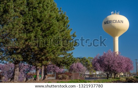 Spring blooming trees and pines against the yellow water tower in Meridian Idaho