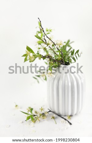 Similar – Cherry blossom branch with butterfly ornaments in glass jar