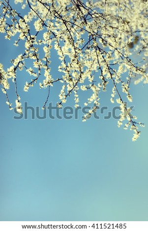 Similar – Image, Stock Photo spring III Nature Sky