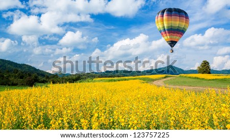 Spring blossom background. Hot air balloon over yellow flower fields against blue sky