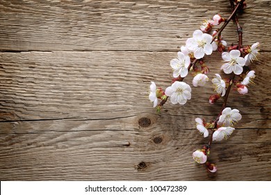 63,910 Cherry blossom wood Images, Stock Photos & Vectors | Shutterstock