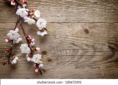 63,910 Cherry blossom wood Images, Stock Photos & Vectors | Shutterstock