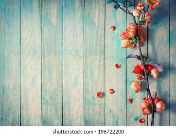 Spring Blossom Over Wood Background. Spring Flowers On Wooden Background