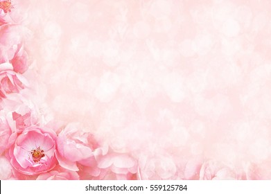 2,303,197 Pink roses background Images, Stock Photos & Vectors ...
