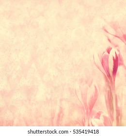 Spring blossoming crocuses, selective focus, shallow DOF, toned, light and heart bokeh background, pastel and soft card