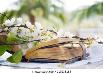 Spring Blossoms