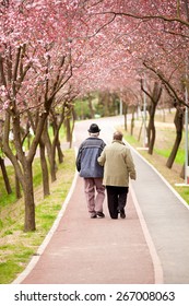 Spring Blossoms On Tree Branches And Alley With Old Age Couple In The Park