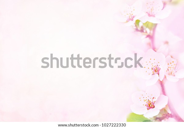 Springtime For Blossom Chapter 18