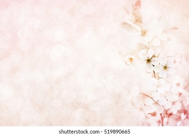 Spring Blossom/springtime Cherry Bloom, Toned, Bokeh Flower Background, Pastel And Soft Card