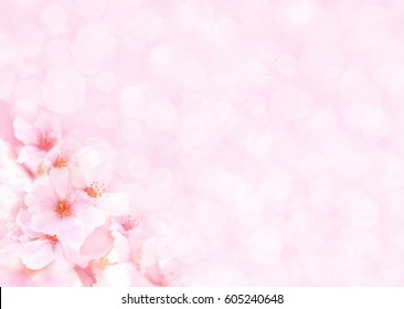 Pink Flowers Background Images Stock Photos Vectors Shutterstock