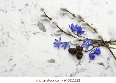 Spring Blue Wild Flowers Scilla, Willow And Adler Branches On Delta White Quartz Kitchen Worktop