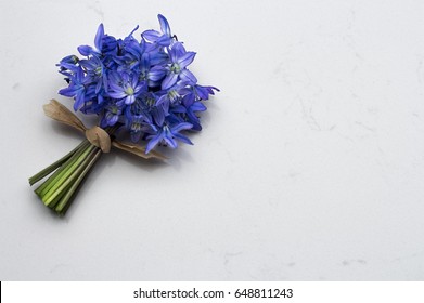 Spring Blue Wild Flowers Scilla Bouquet On Noble Carrara Quartz Kitchen Worktop