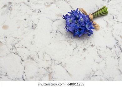 Spring Blue Wild Flowers Scilla Bouquet On Delta White Quartz Kitchen Worktop