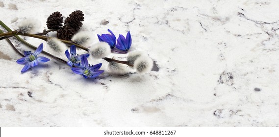 Spring Blue Wild Flowers Scilla, Willow And Adler Branches On Delta White Quartz Kitchen Worktop