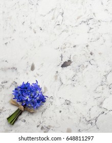 Spring Blue Wild Flowers Scilla Bouquet On Delta White Quartz Kitchen Worktop