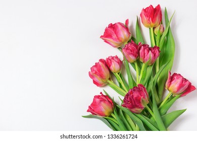 Spring Boquet Of Red And Pink Tulips. Floral White Background With Space For Text