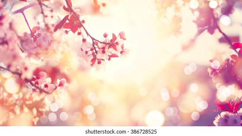 Spring border or background art with pink blossom. Beautiful nature scene with blooming tree and sun flare. Sunny day. Spring flowers. Beautiful Orchard. Abstract blurred background. Springtime