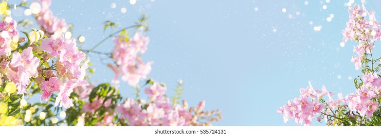 Spring border or background art with pink blossom.
