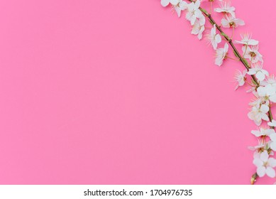 花背景的圖片 庫存照片和向量圖 Shutterstock