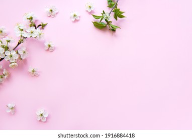 花背景的圖片 庫存照片和向量圖 Shutterstock