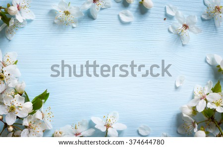 Spring border background with white blossom