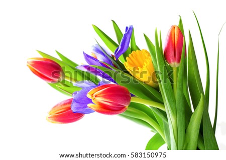 Spring bouquet. The image is isolated. Selective focus.