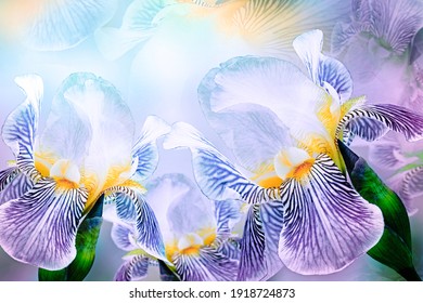 Spring bouquet of  irises flowers on a sunny white-blue background. Close-up.Greeting card. Nature. - Shutterstock ID 1918724873