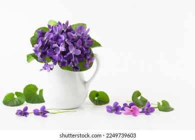 Spring bouquet of violet flowers of viola odorata in vase on white background, text copy space. Real studio photo of decorative still life of spring purple blue flowers in a jug. - Powered by Shutterstock