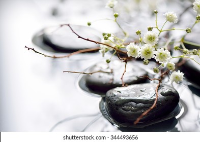 Spring Branch Under Stones In Water, Spa Spring Concept