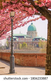 Spring In Budapest On The Árpád Tóth Promenade