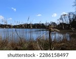 Spring at Burton mill pond